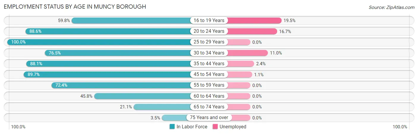 Employment Status by Age in Muncy borough