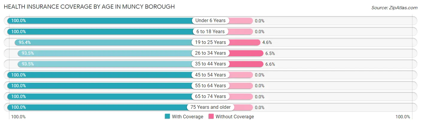 Health Insurance Coverage by Age in Muncy borough