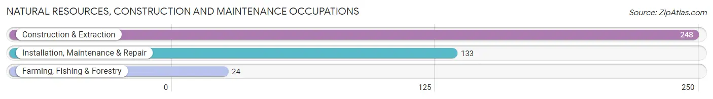 Natural Resources, Construction and Maintenance Occupations in Nanticoke