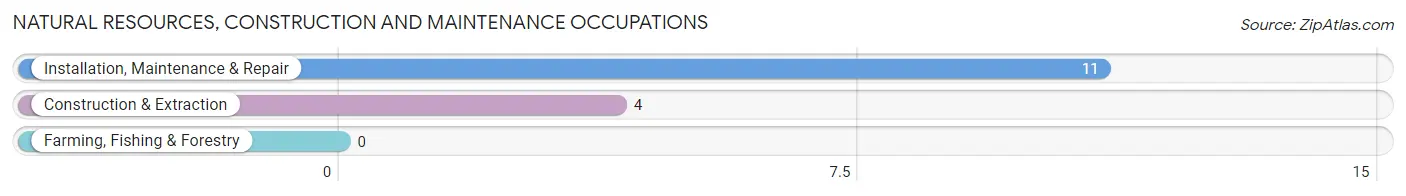 Natural Resources, Construction and Maintenance Occupations in Needmore