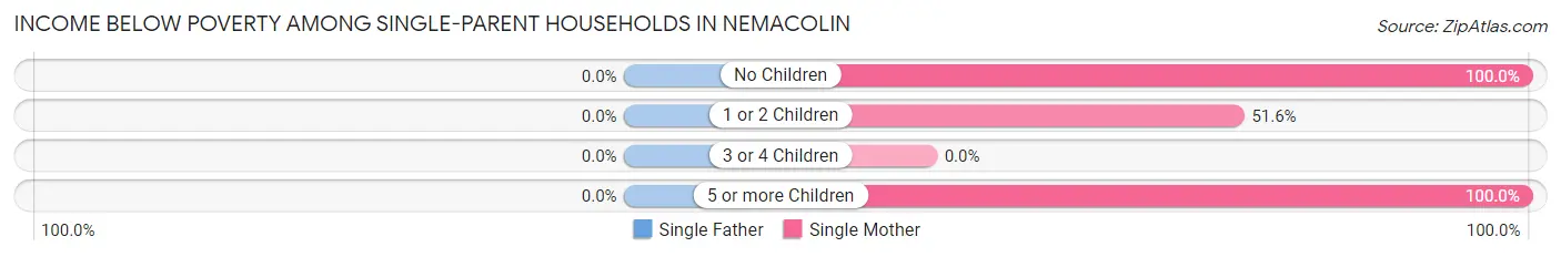 Income Below Poverty Among Single-Parent Households in Nemacolin