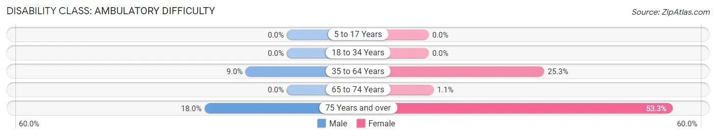 Disability in New Beaver borough: <span>Ambulatory Difficulty</span>