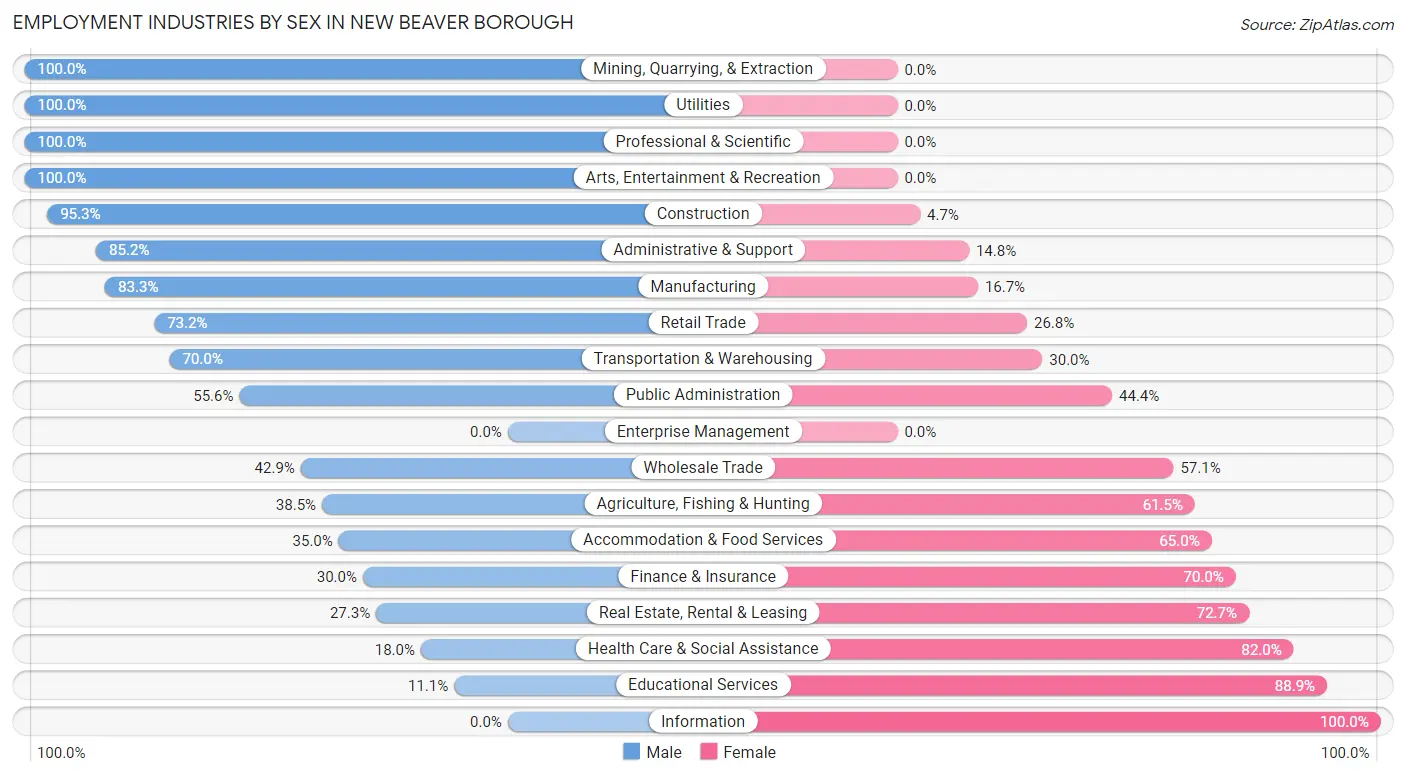 Employment Industries by Sex in New Beaver borough