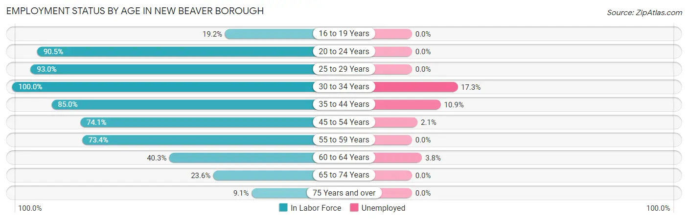 Employment Status by Age in New Beaver borough