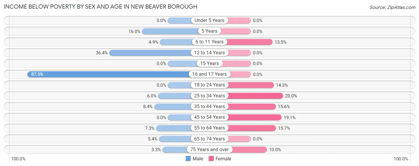Income Below Poverty by Sex and Age in New Beaver borough