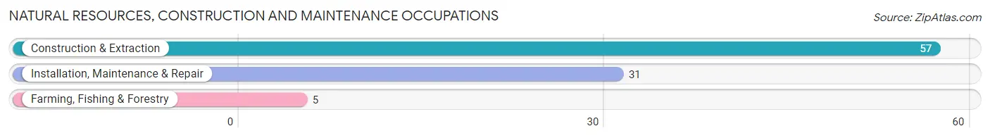 Natural Resources, Construction and Maintenance Occupations in New Beaver borough