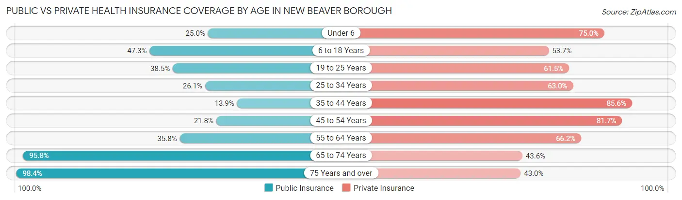 Public vs Private Health Insurance Coverage by Age in New Beaver borough