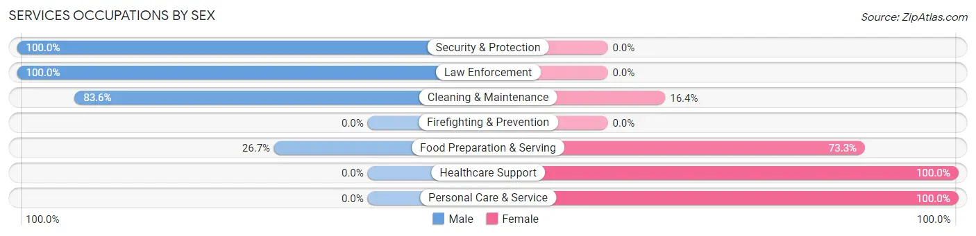 Services Occupations by Sex in New Beaver borough