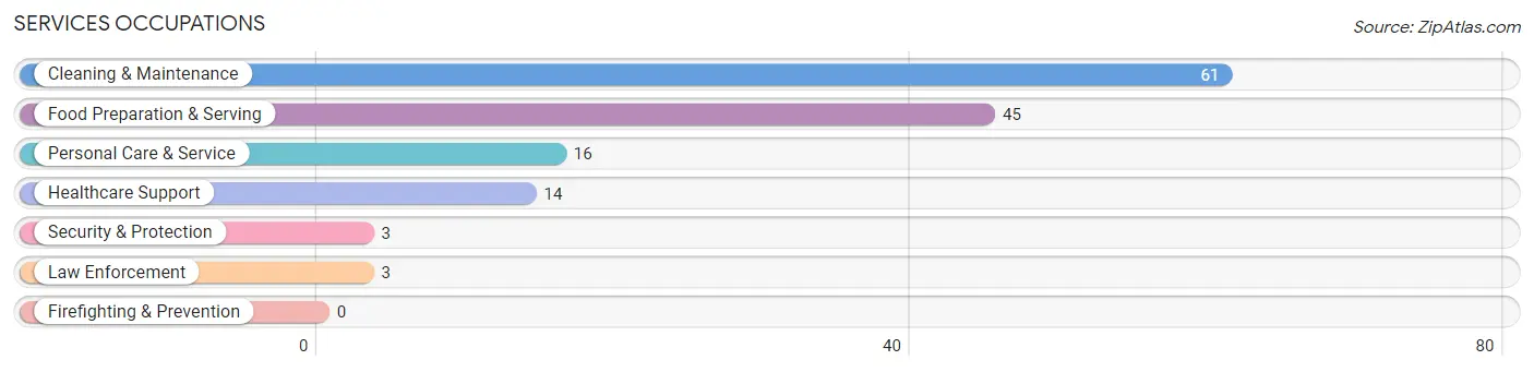 Services Occupations in New Beaver borough