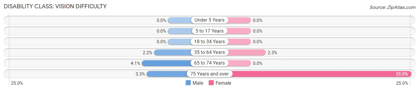 Disability in New Beaver borough: <span>Vision Difficulty</span>