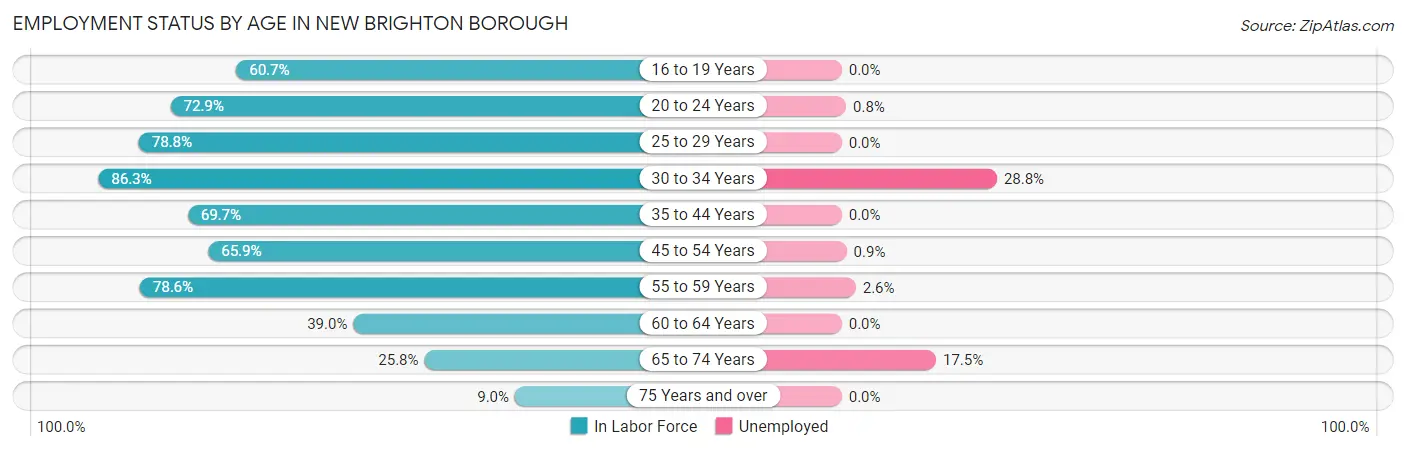 Employment Status by Age in New Brighton borough