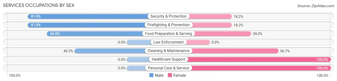 Services Occupations by Sex in New Brighton borough