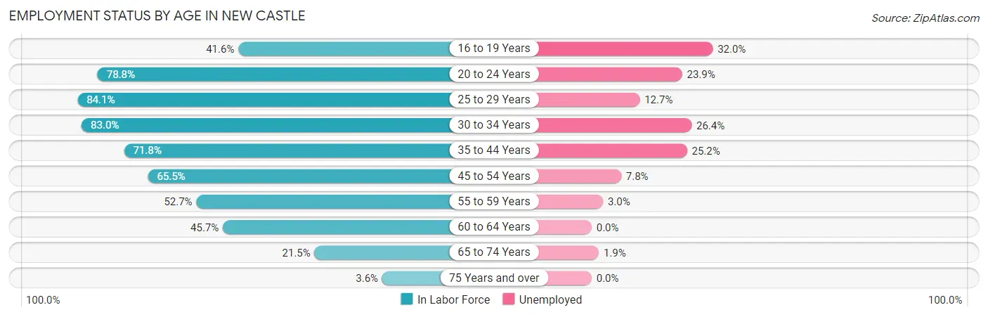 Employment Status by Age in New Castle