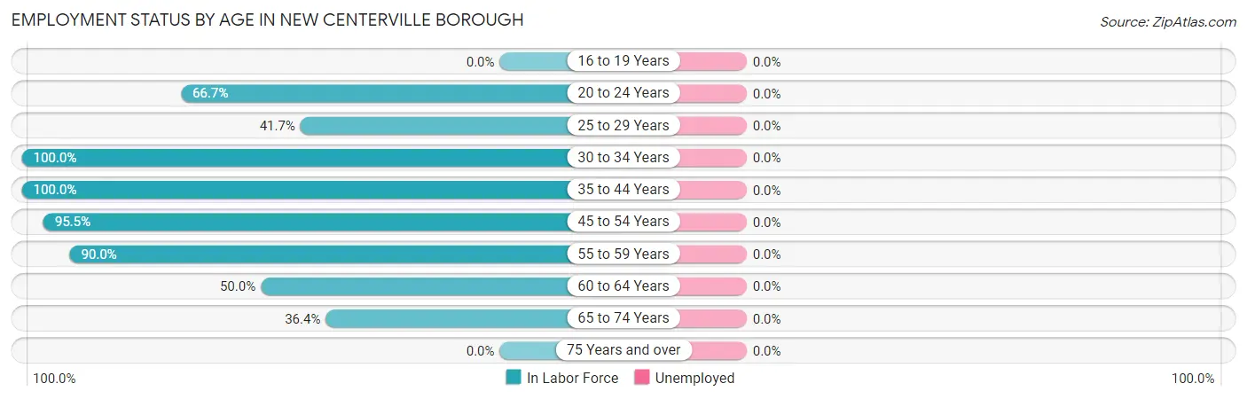 Employment Status by Age in New Centerville borough