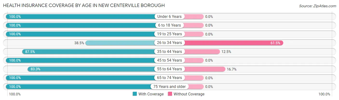 Health Insurance Coverage by Age in New Centerville borough