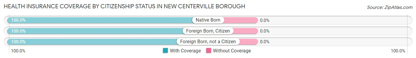 Health Insurance Coverage by Citizenship Status in New Centerville borough