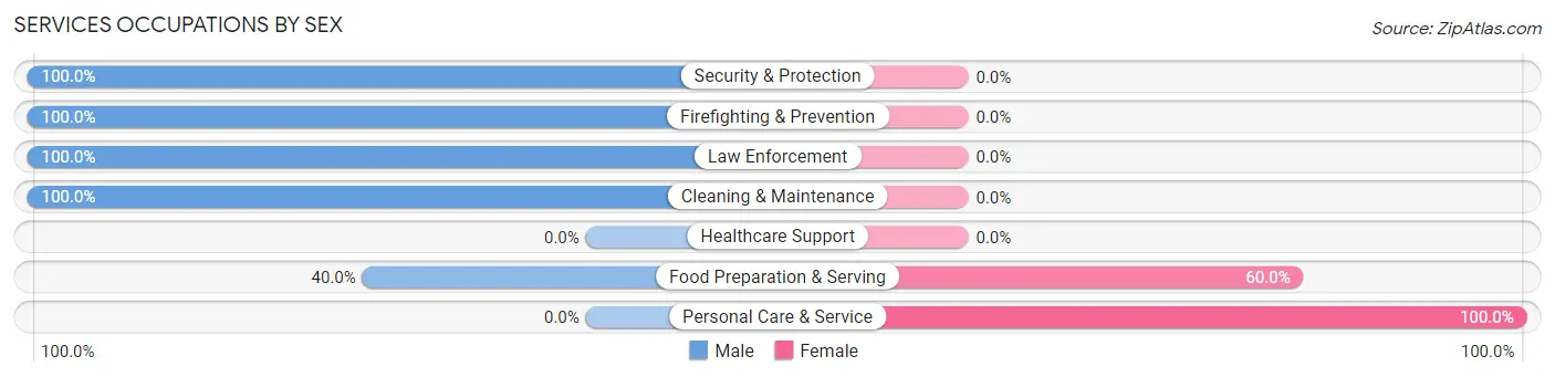 Services Occupations by Sex in New Centerville borough