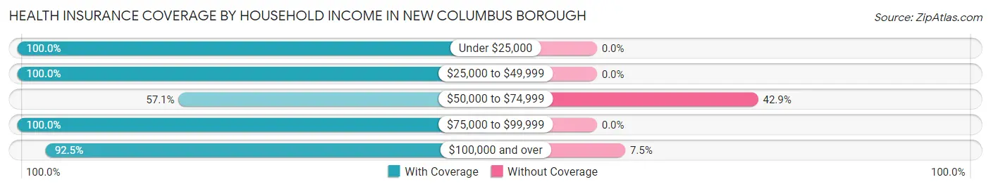 Health Insurance Coverage by Household Income in New Columbus borough