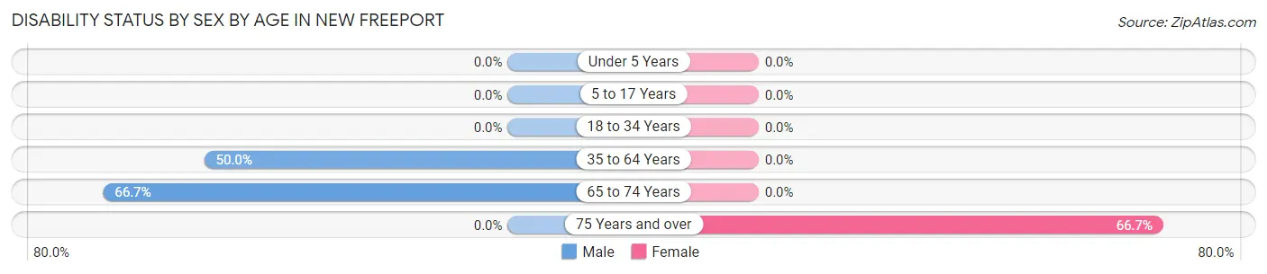 Disability Status by Sex by Age in New Freeport