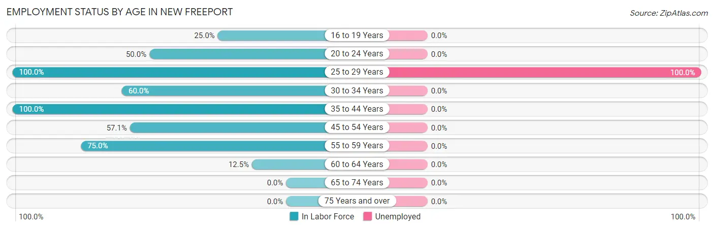 Employment Status by Age in New Freeport