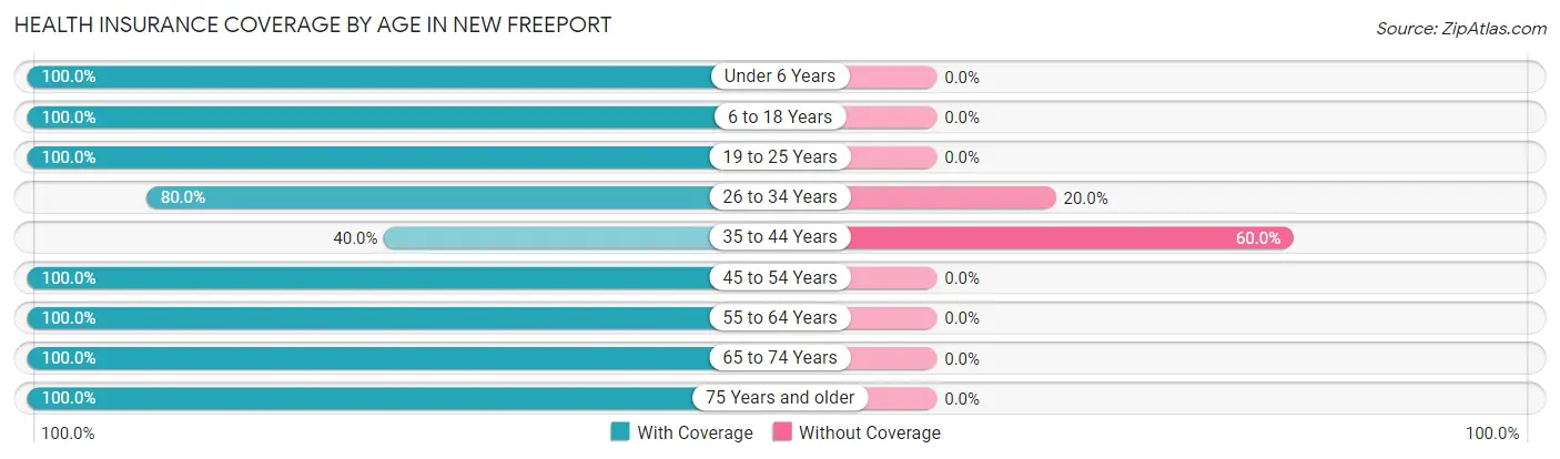 Health Insurance Coverage by Age in New Freeport