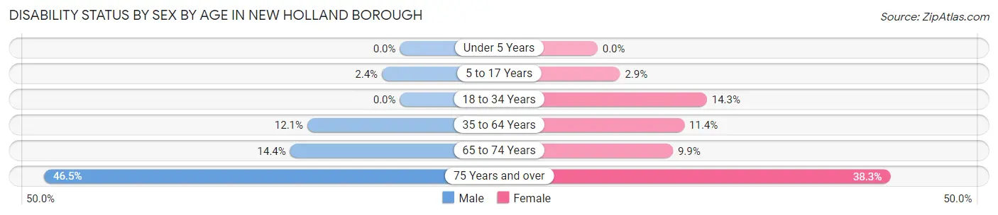 Disability Status by Sex by Age in New Holland borough