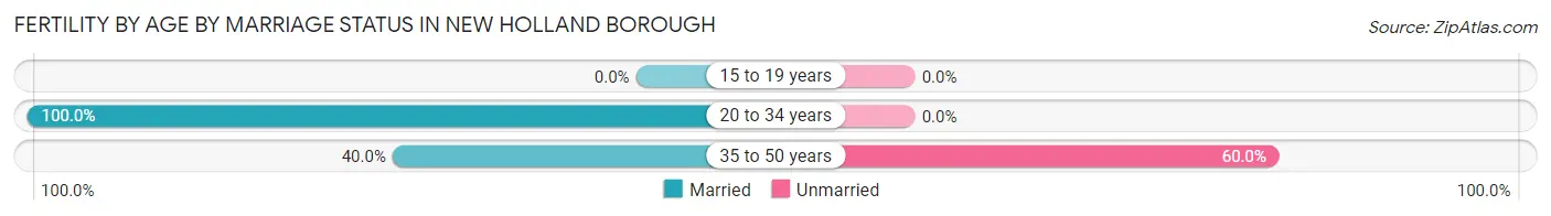 Female Fertility by Age by Marriage Status in New Holland borough
