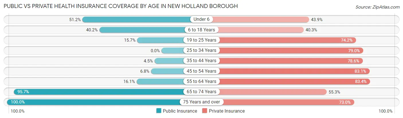 Public vs Private Health Insurance Coverage by Age in New Holland borough