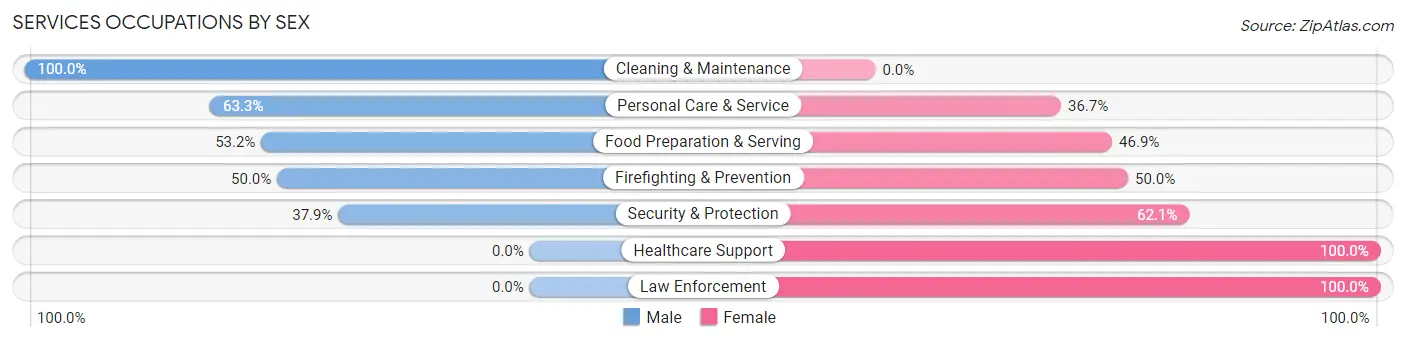 Services Occupations by Sex in New Holland borough
