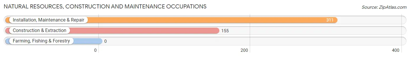 Natural Resources, Construction and Maintenance Occupations in New Kensington