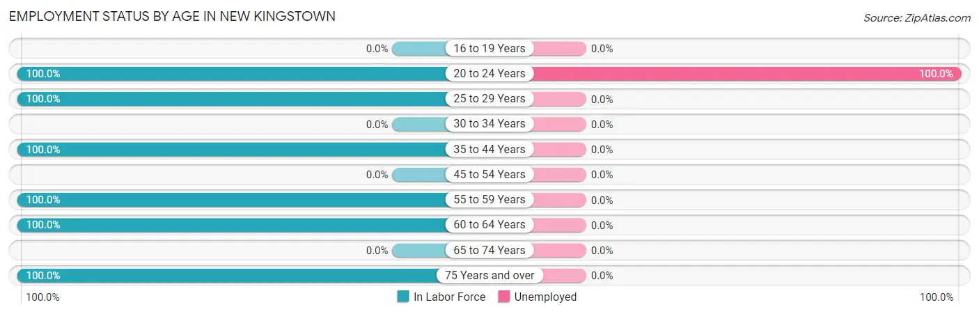 Employment Status by Age in New Kingstown