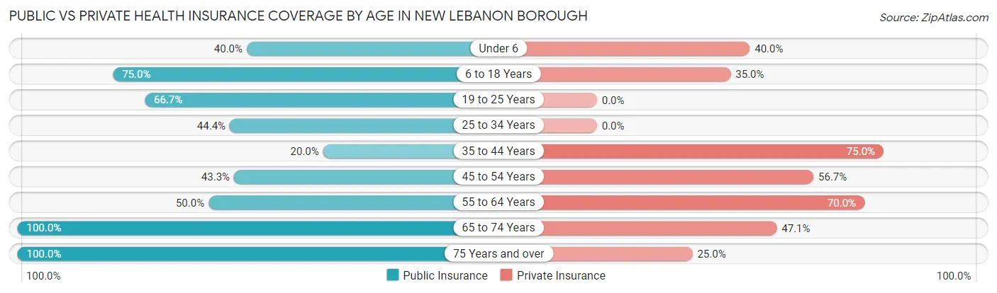 Public vs Private Health Insurance Coverage by Age in New Lebanon borough