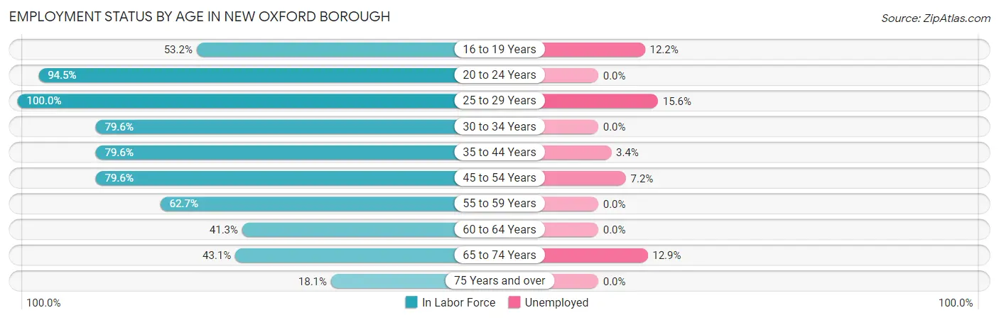 Employment Status by Age in New Oxford borough