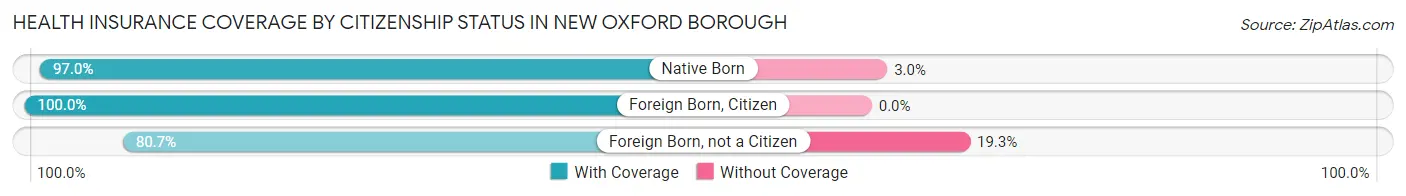 Health Insurance Coverage by Citizenship Status in New Oxford borough