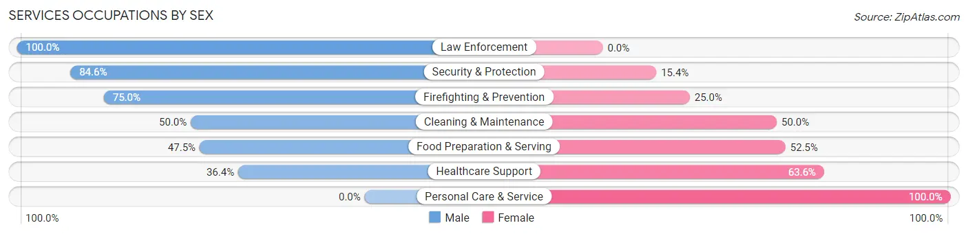 Services Occupations by Sex in New Oxford borough
