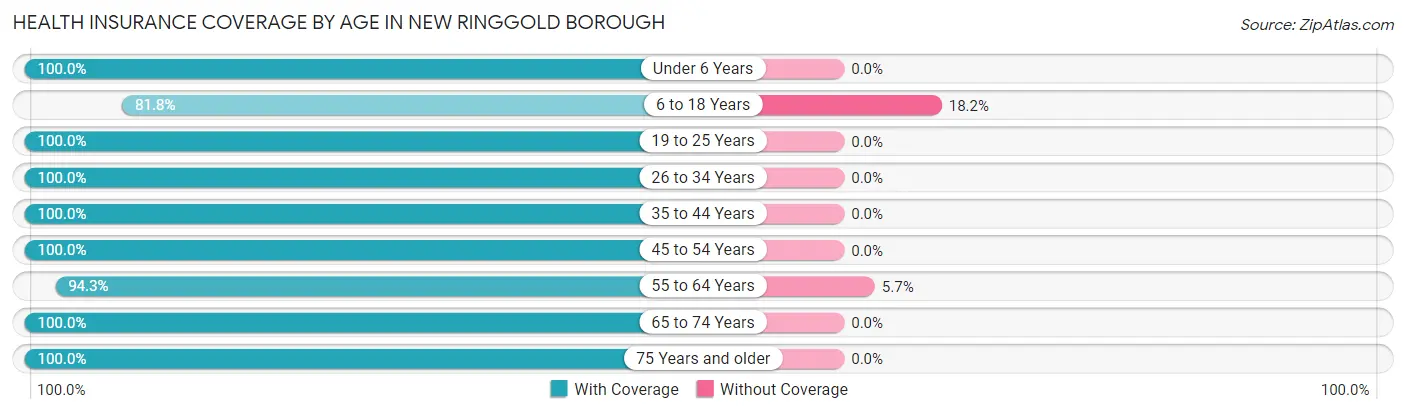 Health Insurance Coverage by Age in New Ringgold borough