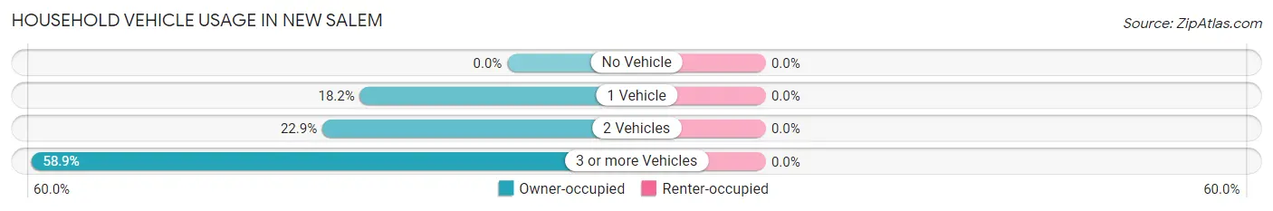 Household Vehicle Usage in New Salem