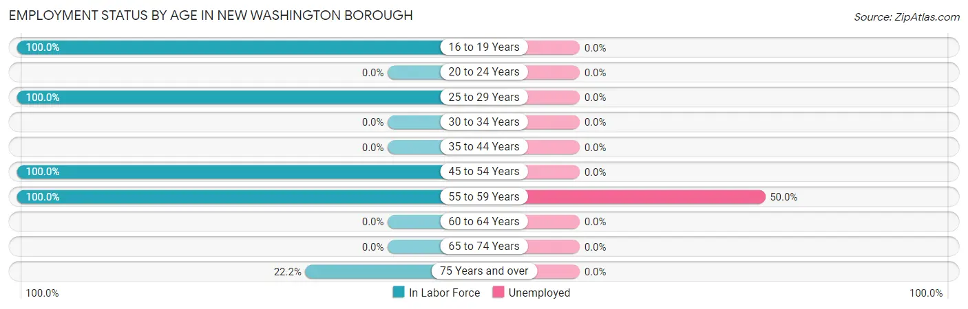 Employment Status by Age in New Washington borough