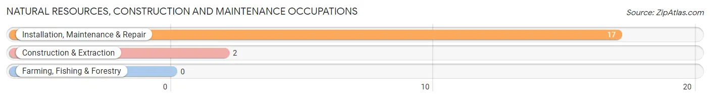 Natural Resources, Construction and Maintenance Occupations in Newtown