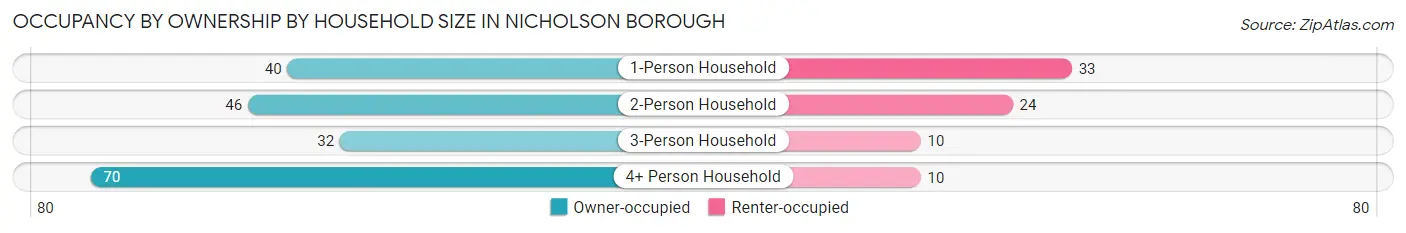 Occupancy by Ownership by Household Size in Nicholson borough