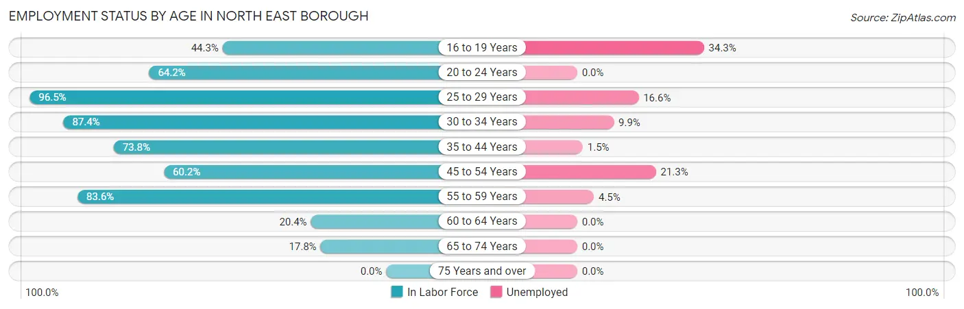 Employment Status by Age in North East borough