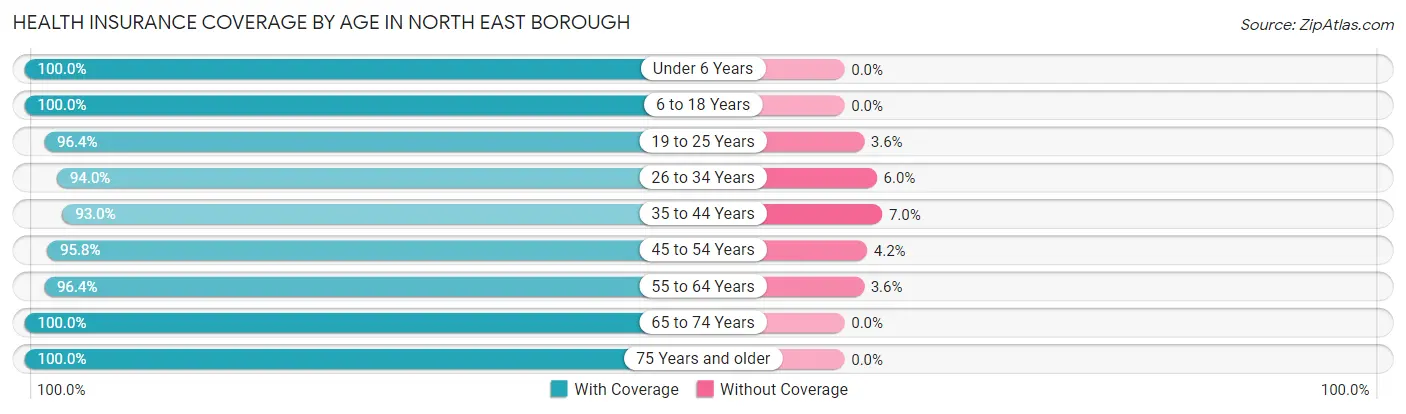 Health Insurance Coverage by Age in North East borough