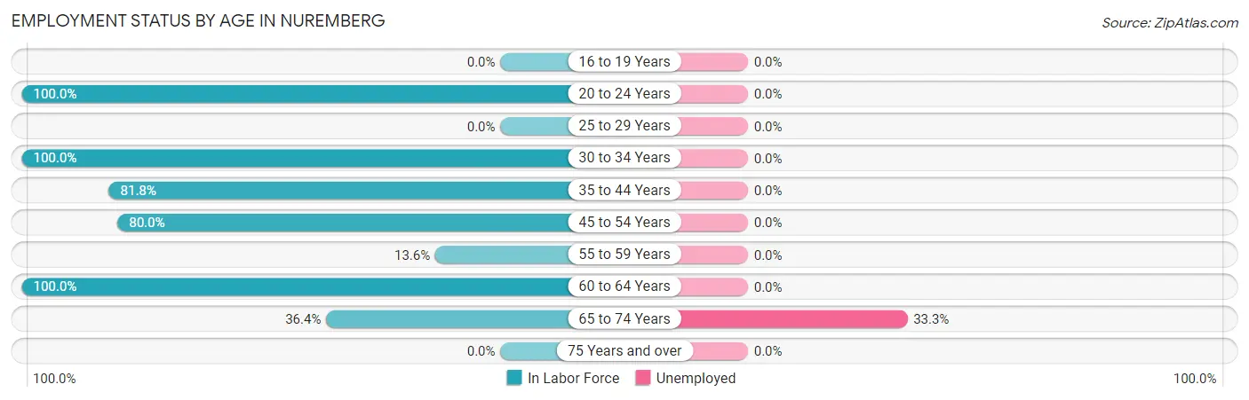 Employment Status by Age in Nuremberg