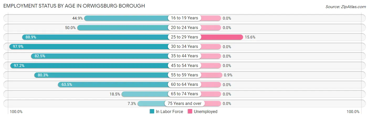 Employment Status by Age in Orwigsburg borough