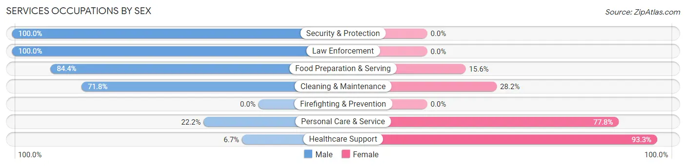 Services Occupations by Sex in Osceola Mills borough