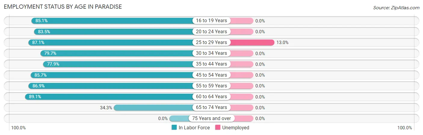 Employment Status by Age in Paradise