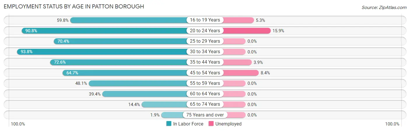 Employment Status by Age in Patton borough