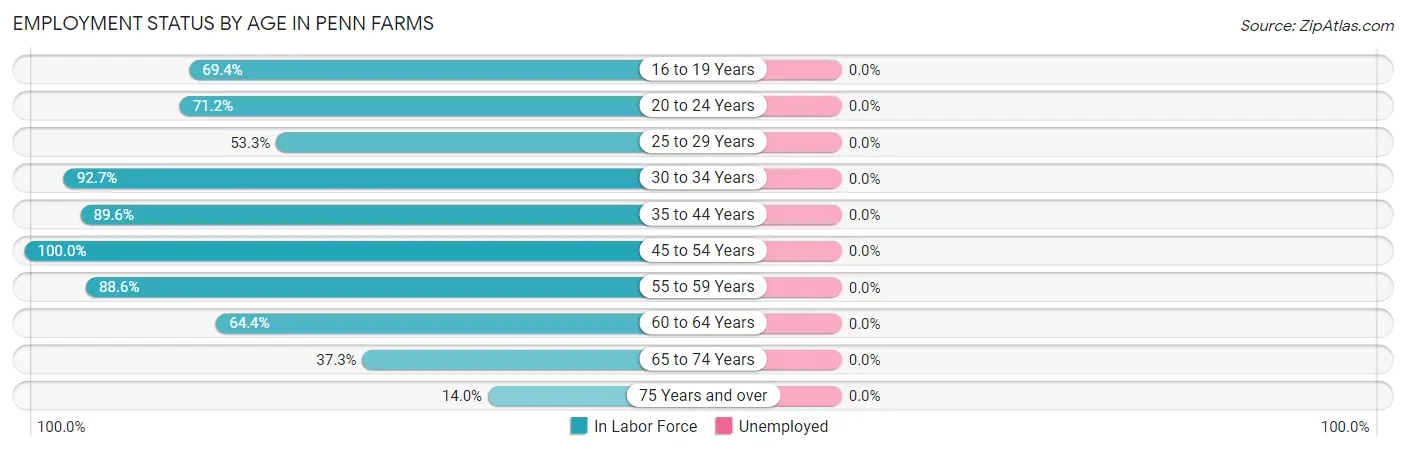 Employment Status by Age in Penn Farms