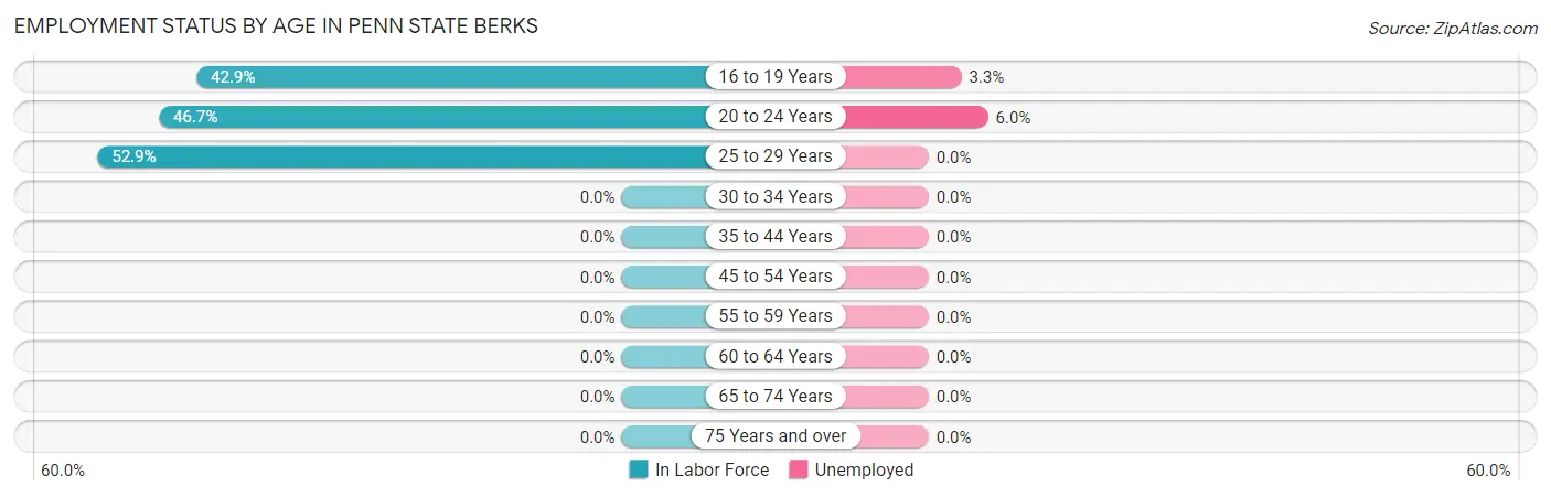 Employment Status by Age in Penn State Berks