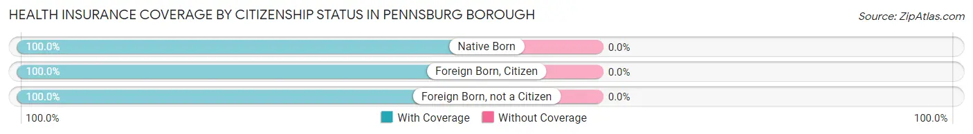 Health Insurance Coverage by Citizenship Status in Pennsburg borough